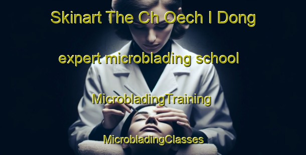 Skinart The Ch Oech I Dong expert microblading school | #MicrobladingTraining #MicrobladingClasses #SkinartTraining-Korea