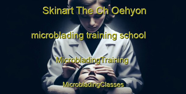 Skinart The Ch Oehyon microblading training school | #MicrobladingTraining #MicrobladingClasses #SkinartTraining-Korea