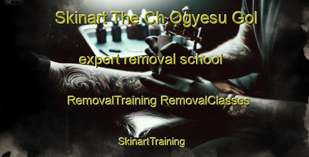 Skinart The Ch Ogyesu Gol expert removal school | #RemovalTraining #RemovalClasses #SkinartTraining-Korea