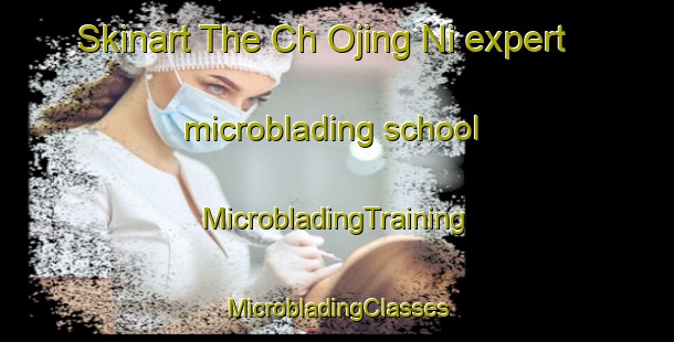 Skinart The Ch Ojing Ni expert microblading school | #MicrobladingTraining #MicrobladingClasses #SkinartTraining-Korea