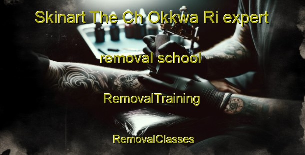 Skinart The Ch Okkwa Ri expert removal school | RemovalTraining | RemovalClasses | SkinartTraining-Korea