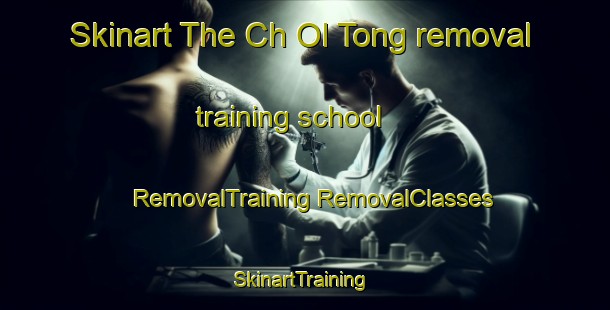 Skinart The Ch Ol Tong removal training school | #RemovalTraining #RemovalClasses #SkinartTraining-Korea