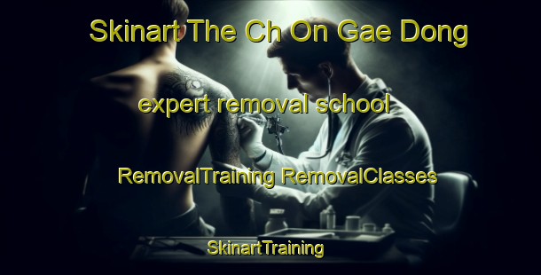 Skinart The Ch On Gae Dong expert removal school | #RemovalTraining #RemovalClasses #SkinartTraining-Korea