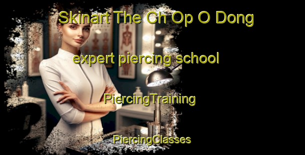 Skinart The Ch Op O Dong expert piercing school | #PiercingTraining #PiercingClasses #SkinartTraining-Korea