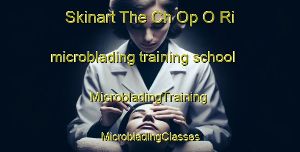 Skinart The Ch Op O Ri microblading training school | #MicrobladingTraining #MicrobladingClasses #SkinartTraining-Korea