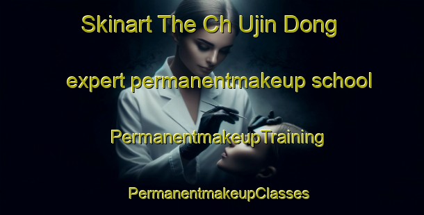 Skinart The Ch Ujin Dong expert permanentmakeup school | PermanentmakeupTraining | PermanentmakeupClasses | SkinartTraining-Korea