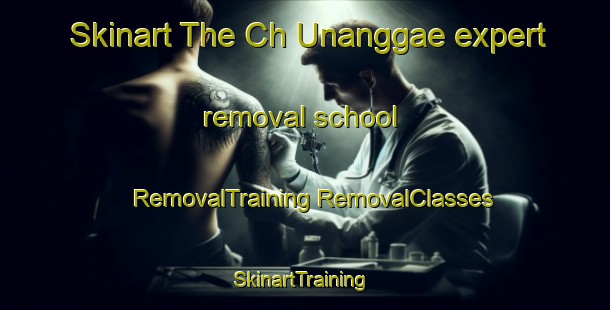 Skinart The Ch Unanggae expert removal school | #RemovalTraining #RemovalClasses #SkinartTraining-Korea