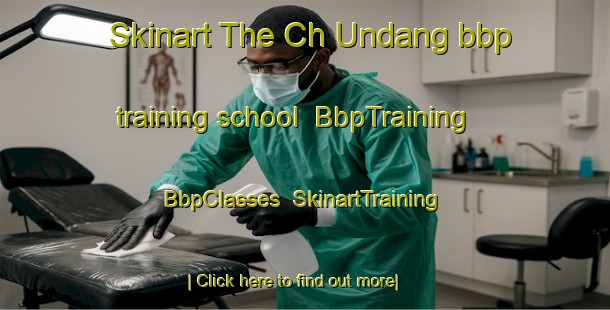 Skinart The Ch Undang bbp training school | BbpTraining | BbpClasses | SkinartTraining-Korea