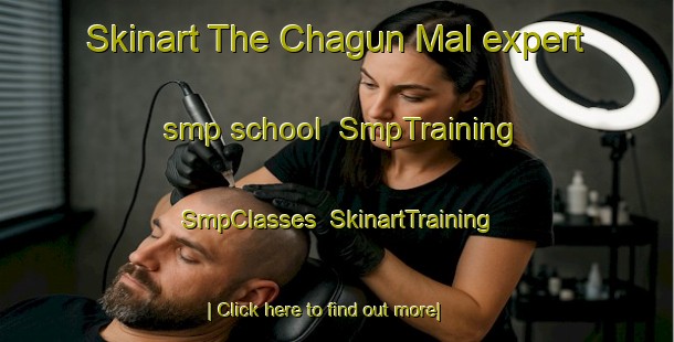 Skinart The Chagun Mal expert smp school | SmpTraining | SmpClasses | SkinartTraining-Korea