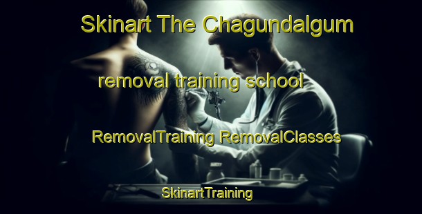 Skinart The Chagundalgum removal training school | #RemovalTraining #RemovalClasses #SkinartTraining-Korea