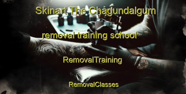 Skinart The Chagundalgum removal training school | RemovalTraining | RemovalClasses | SkinartTraining-Korea