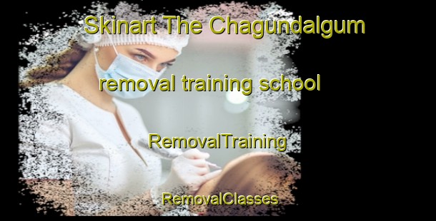 Skinart The Chagundalgum removal training school | RemovalTraining | RemovalClasses | SkinartTraining-Korea