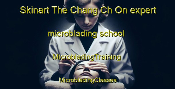 Skinart The Chang Ch On expert microblading school | #MicrobladingTraining #MicrobladingClasses #SkinartTraining-Korea