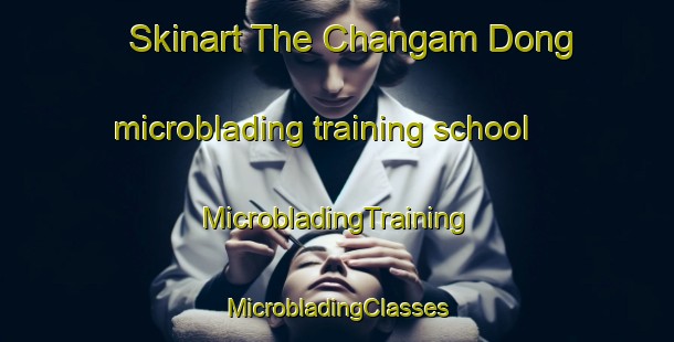 Skinart The Changam Dong microblading training school | #MicrobladingTraining #MicrobladingClasses #SkinartTraining-Korea