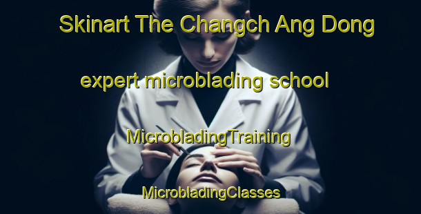 Skinart The Changch Ang Dong expert microblading school | #MicrobladingTraining #MicrobladingClasses #SkinartTraining-Korea