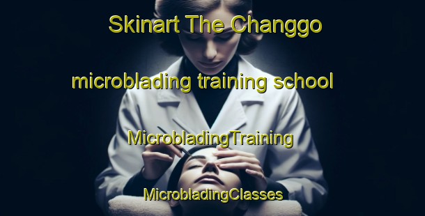 Skinart The Changgo microblading training school | #MicrobladingTraining #MicrobladingClasses #SkinartTraining-Korea