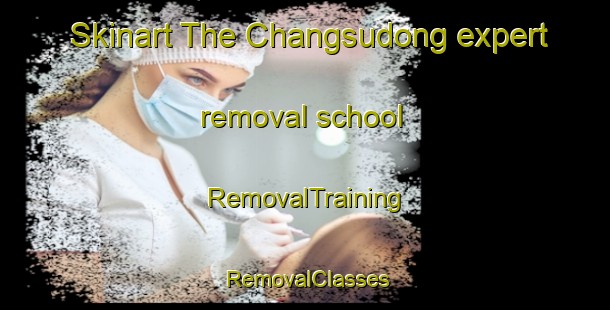 Skinart The Changsudong expert removal school | RemovalTraining | RemovalClasses | SkinartTraining-Korea