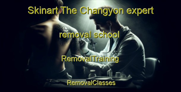 Skinart The Changyon expert removal school | RemovalTraining | RemovalClasses | SkinartTraining-Korea