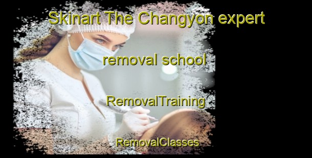 Skinart The Changyon expert removal school | RemovalTraining | RemovalClasses | SkinartTraining-Korea