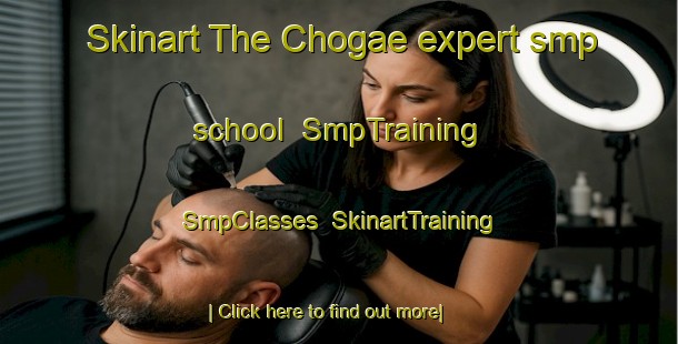 Skinart The Chogae expert smp school | SmpTraining | SmpClasses | SkinartTraining-Korea