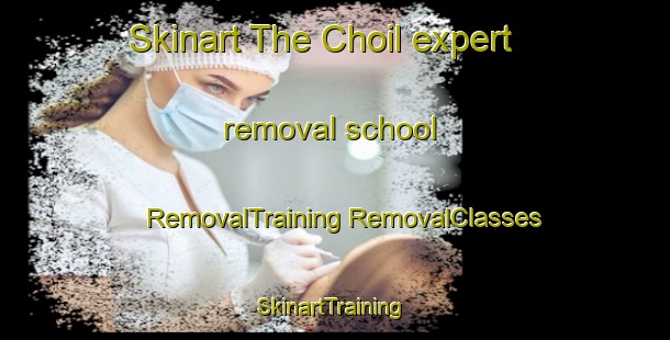 Skinart The Choil expert removal school | #RemovalTraining #RemovalClasses #SkinartTraining-Korea