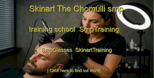 Skinart The Chomulli smp training school | SmpTraining | SmpClasses | SkinartTraining-Korea