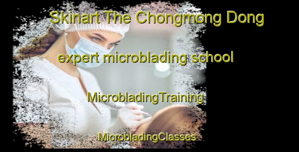 Skinart The Chongmong Dong expert microblading school | MicrobladingTraining | MicrobladingClasses | SkinartTraining-Korea