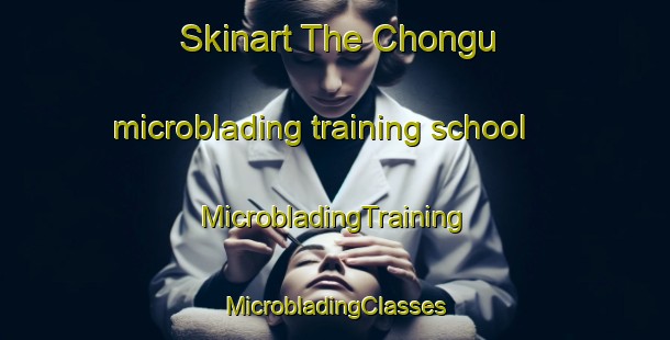 Skinart The Chongu microblading training school | #MicrobladingTraining #MicrobladingClasses #SkinartTraining-Korea