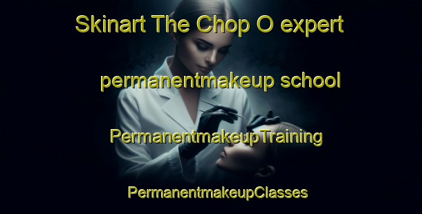 Skinart The Chop O expert permanentmakeup school | PermanentmakeupTraining | PermanentmakeupClasses | SkinartTraining-Korea