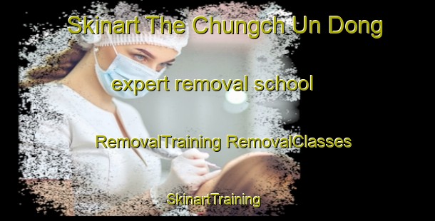 Skinart The Chungch Un Dong expert removal school | #RemovalTraining #RemovalClasses #SkinartTraining-Korea