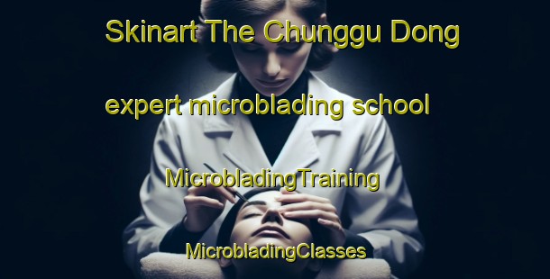 Skinart The Chunggu Dong expert microblading school | #MicrobladingTraining #MicrobladingClasses #SkinartTraining-Korea