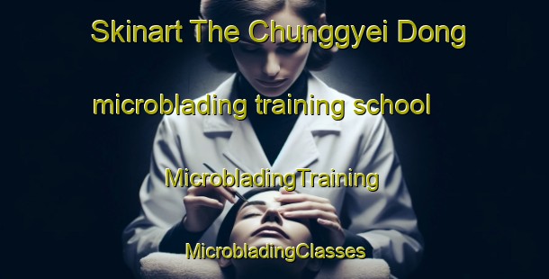 Skinart The Chunggyei Dong microblading training school | #MicrobladingTraining #MicrobladingClasses #SkinartTraining-Korea