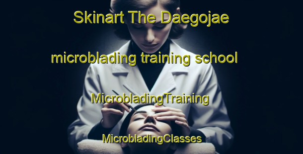 Skinart The Daegojae microblading training school | #MicrobladingTraining #MicrobladingClasses #SkinartTraining-Korea