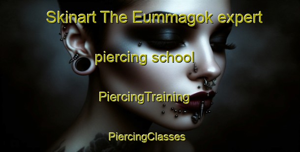 Skinart The Eummagok expert piercing school | PiercingTraining | PiercingClasses | SkinartTraining-Korea