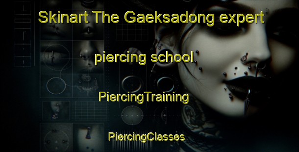 Skinart The Gaeksadong expert piercing school | PiercingTraining | PiercingClasses | SkinartTraining-Korea