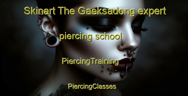 Skinart The Gaeksadong expert piercing school | PiercingTraining | PiercingClasses | SkinartTraining-Korea