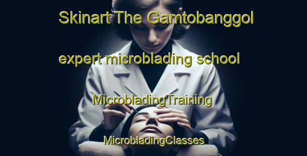 Skinart The Gamtobanggol expert microblading school | #MicrobladingTraining #MicrobladingClasses #SkinartTraining-Korea