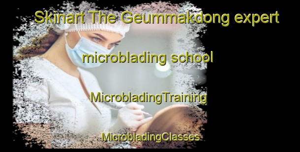 Skinart The Geummakdong expert microblading school | #MicrobladingTraining #MicrobladingClasses #SkinartTraining-Korea