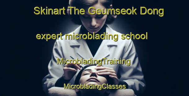 Skinart The Geumseok Dong expert microblading school | #MicrobladingTraining #MicrobladingClasses #SkinartTraining-Korea