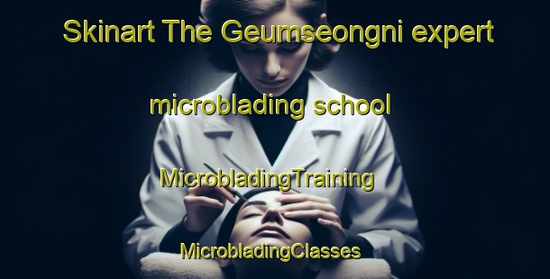 Skinart The Geumseongni expert microblading school | MicrobladingTraining | MicrobladingClasses | SkinartTraining-Korea