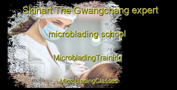 Skinart The Gwangchang expert microblading school | #MicrobladingTraining #MicrobladingClasses #SkinartTraining-Korea