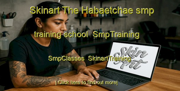 Skinart The Habaetchae smp training school | SmpTraining | SmpClasses | SkinartTraining-Korea