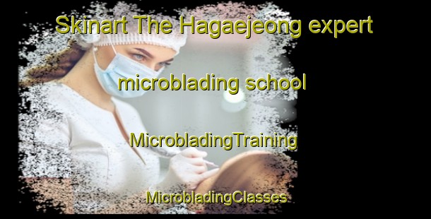 Skinart The Hagaejeong expert microblading school | #MicrobladingTraining #MicrobladingClasses #SkinartTraining-Korea