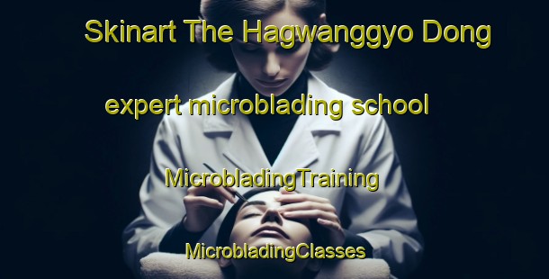 Skinart The Hagwanggyo Dong expert microblading school | #MicrobladingTraining #MicrobladingClasses #SkinartTraining-Korea