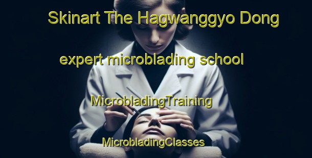 Skinart The Hagwanggyo Dong expert microblading school | MicrobladingTraining | MicrobladingClasses | SkinartTraining-Korea