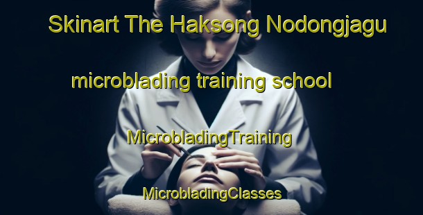 Skinart The Haksong Nodongjagu microblading training school | #MicrobladingTraining #MicrobladingClasses #SkinartTraining-Korea