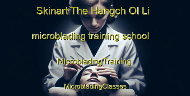 Skinart The Hangch Ol Li microblading training school | #MicrobladingTraining #MicrobladingClasses #SkinartTraining-Korea