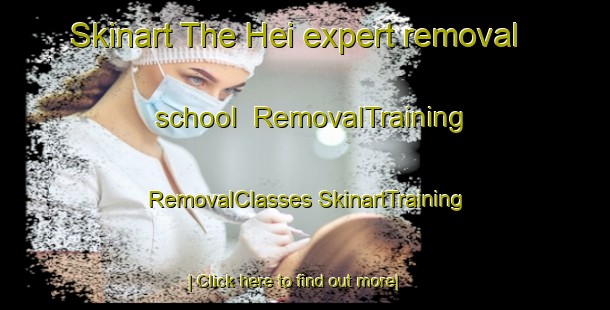 Skinart The Hei expert removal school | #RemovalTraining #RemovalClasses #SkinartTraining-Korea