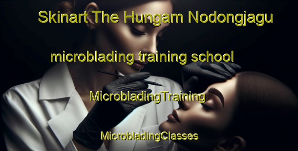 Skinart The Hungam Nodongjagu microblading training school | #MicrobladingTraining #MicrobladingClasses #SkinartTraining-Korea