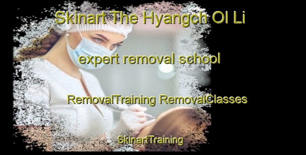 Skinart The Hyangch Ol Li expert removal school | #RemovalTraining #RemovalClasses #SkinartTraining-Korea